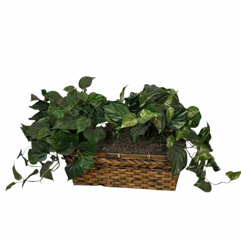Realistic Artificial Pothos Plant in Woven Wicker Basket - Boho Home Decor
